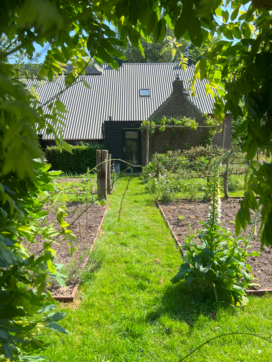 Verrassend toegankelijk bakhuisje in Drenthe - moestuin